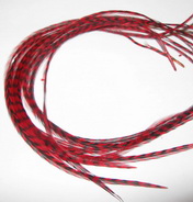 ���� Dry Fly (��� ����� ���) 10 �� ������ ������� , ������ � 18-20-22